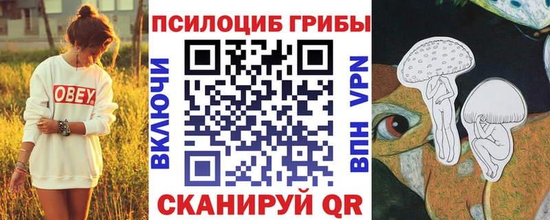 Галлюциногенные грибы Psilocybine cubensis  ссылка на мегу ССЫЛКА  Саратов  цены  